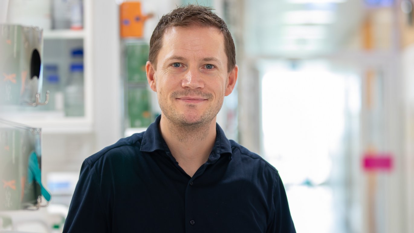 With a grant from the Job Research Foundation, Rasmus O. Bak and his research colleagues hope to improve treatment of Job Syndrome and perhaps even find a cure for it.