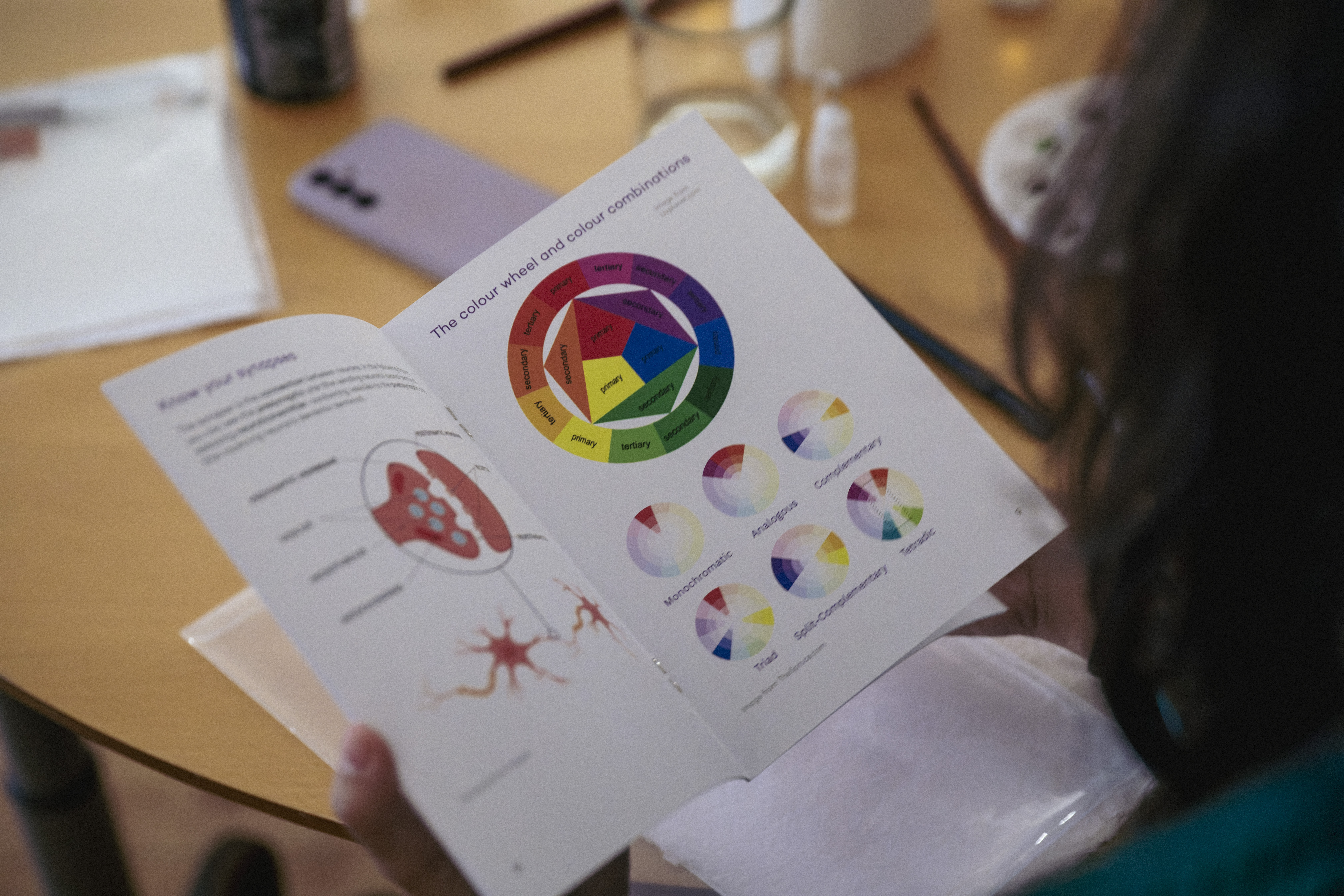 The event included a brochure with visual explanations of both the brain and colors