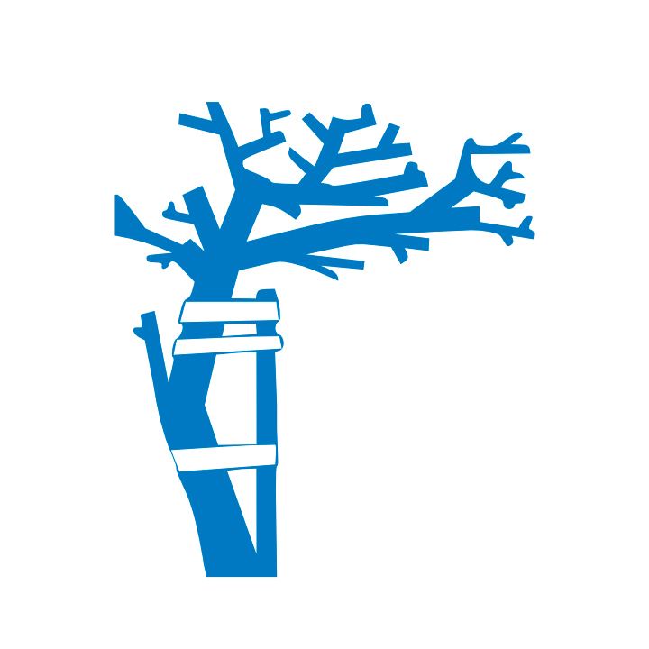 ISAR congress logo