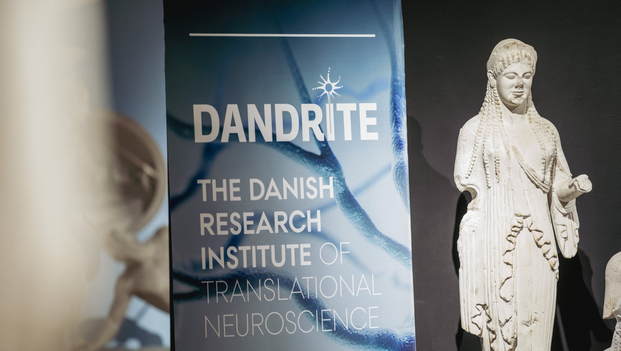 Shows a roll up banner with the DANDRITE logo next to a white statue