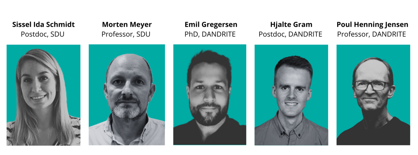 The collaborating authors behind the study, from left: Postdoc Sissel Ida Schmidt and Professor Morten Meyer, from SDU and PhD Emil Gregersen, Postdoc Hjalte Gram and Professor Poul Henning Jensen from DANDRITE
