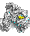 Structural representation of the crystal structure of the protein kinase RSK2