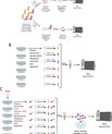 Graphic from the article: (A) Schematic comparison between a conventional proteomic strategy and DiDBiT for the isolation and analysis of biotin-labeled NSPs. (B) Schematic representation of the TMT strategy and (C) DiDBiT-TMT strategy for the analysis of the whole proteome and the nascent proteome. 