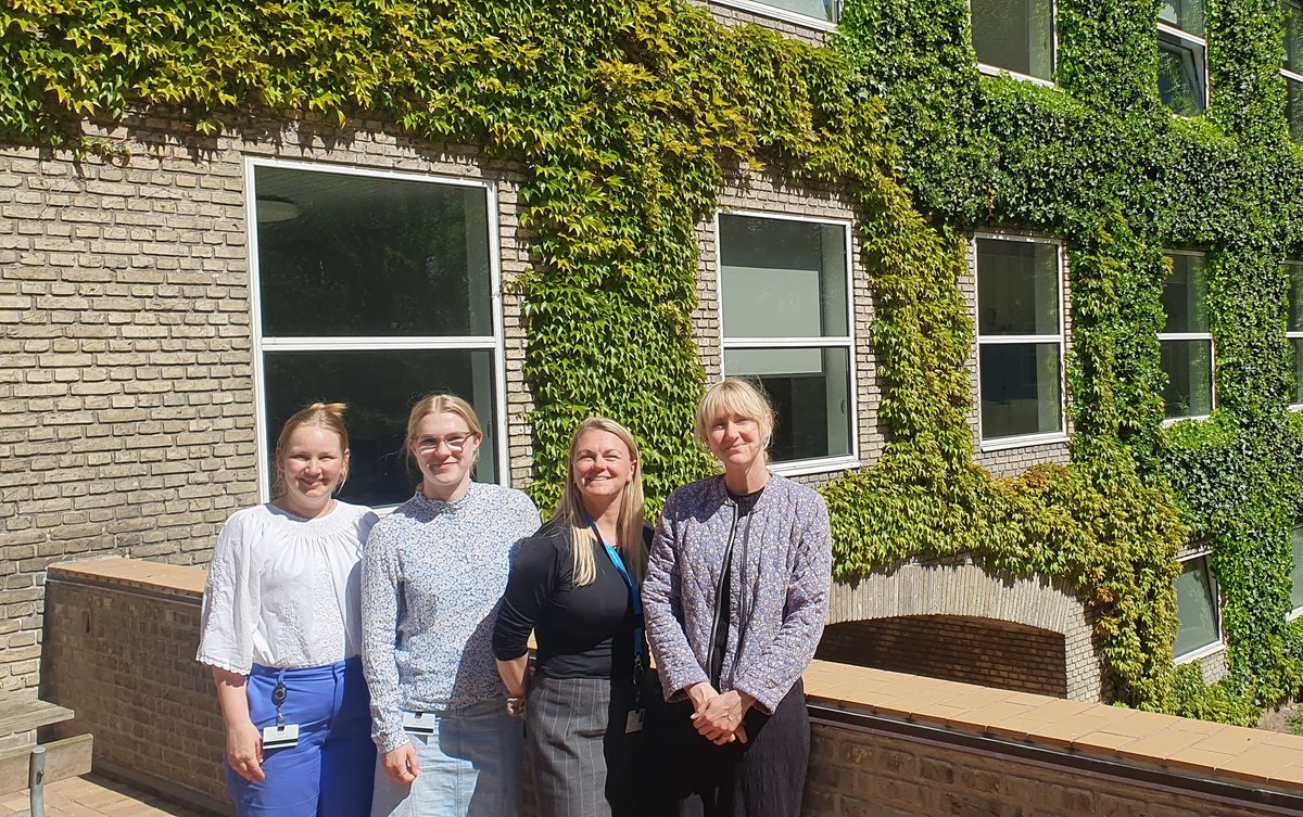 DANDRITE Support Team