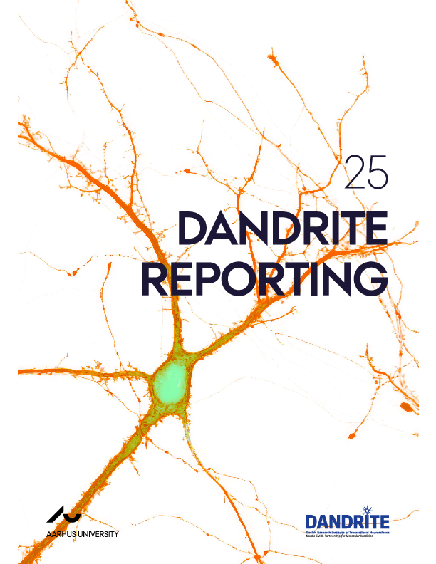 Link to the 2025 DANDRITE report