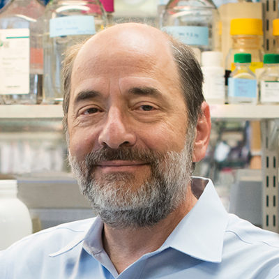 Picture of Michael Greenberg