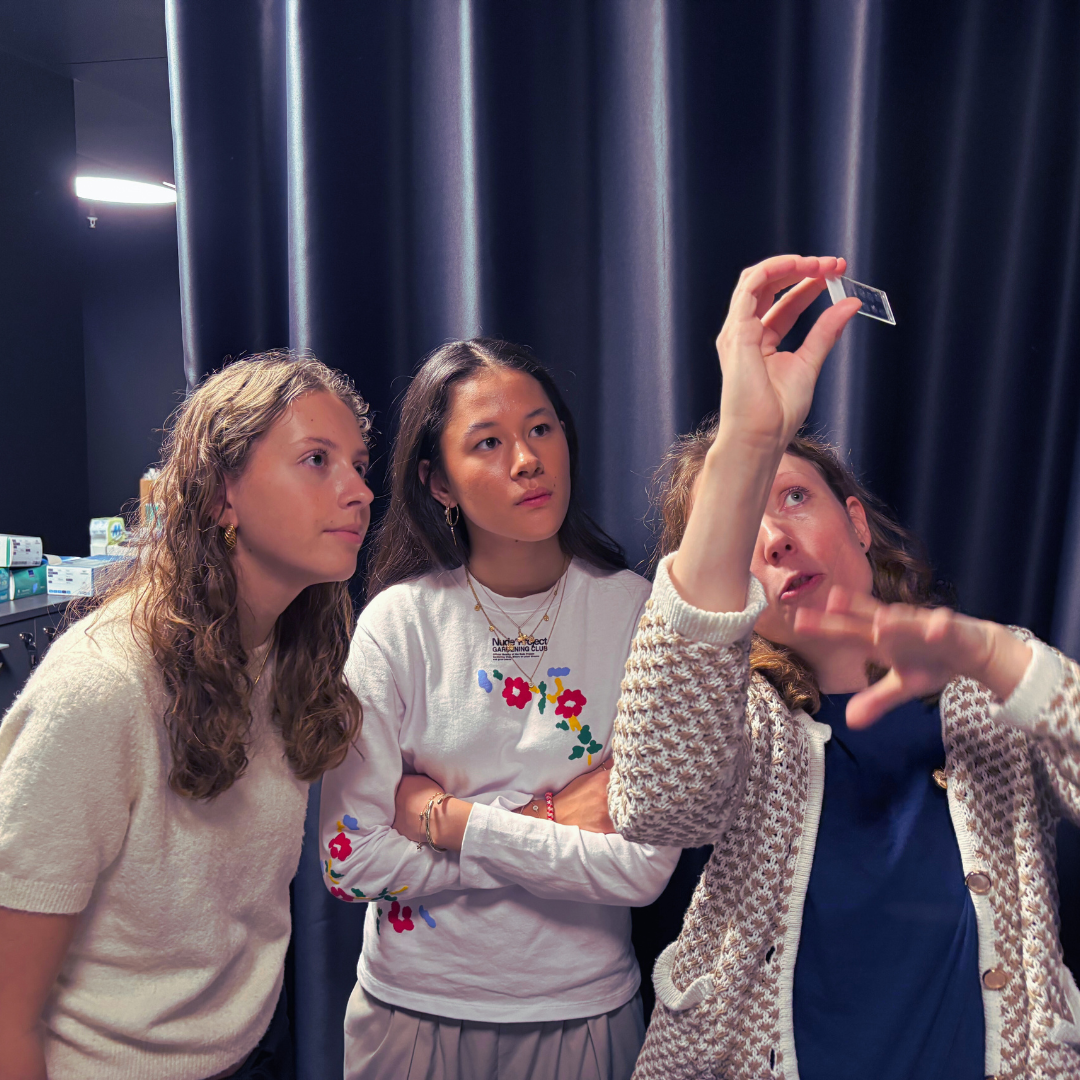Karen Marie, Thea and Isabella are examining six small sections of mouse brain tissue that have been stained with different antibodies, allowing us to visualize proteins of interest and observe their expression in specific brain cells using fluorescence microscopy.