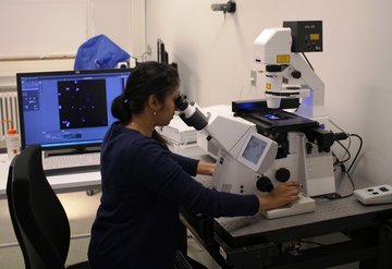 Photo of the confocal microscope in use